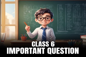 https://www.bizzbrains.com/storage/app/public/images/main_category/300X300/1733135202_class 6 import300.jpg